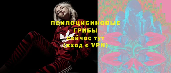 прущие грибы Аркадак