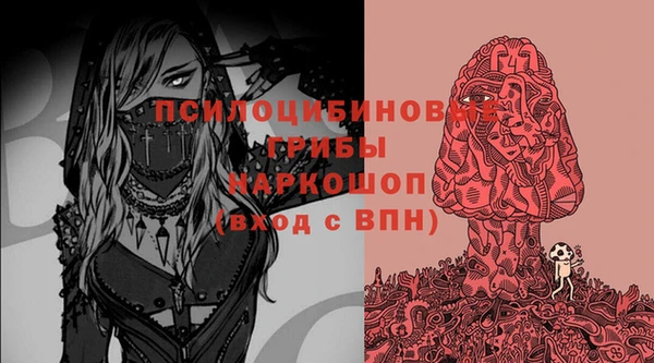 прущие грибы Аркадак