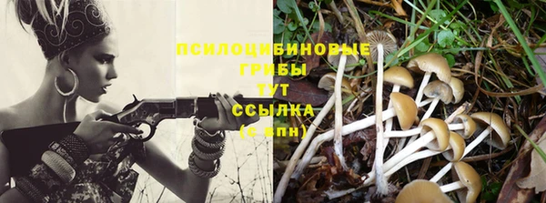 мяу мяу мука Балахна
