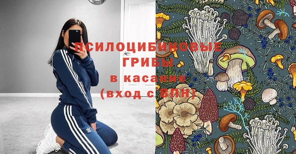 дмт Армянск