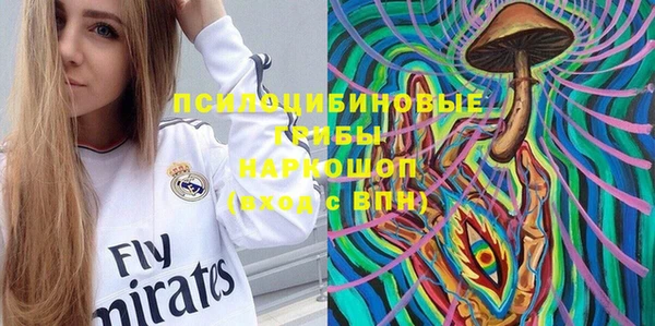 прущие грибы Аркадак