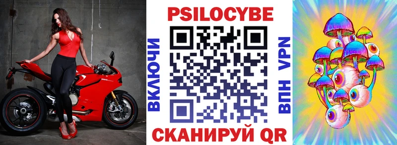 Псилоцибиновые грибы Psilocybine cubensis  Купить где  Луховицы 